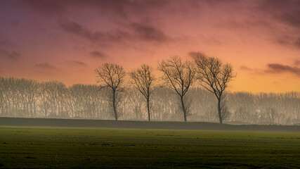 Polders de la Baie du mont St Michel