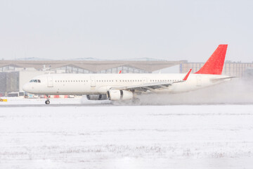Landing aircraft reverse engines during a snowstorm and poor visibility.