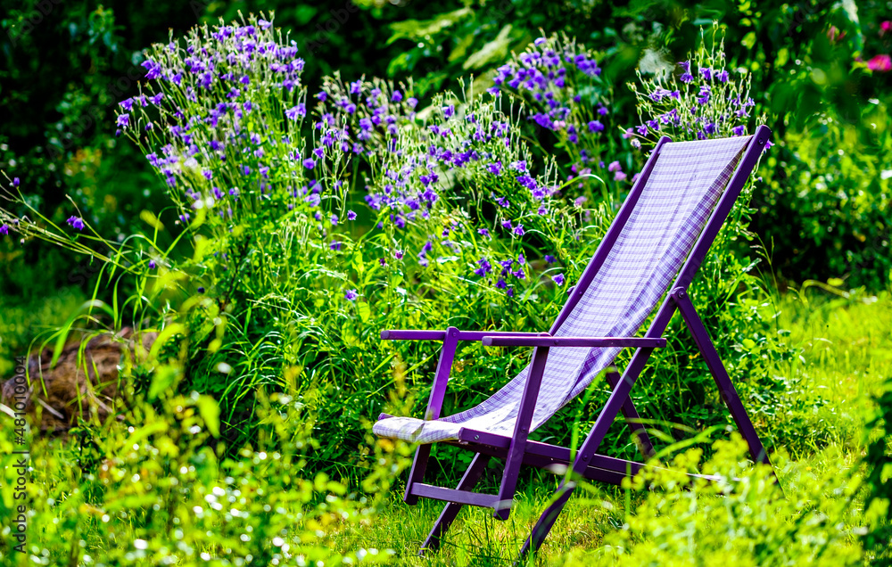 Poster old chairs at a backyard