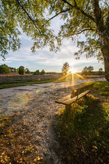 heath landscape in summerwith sunshine