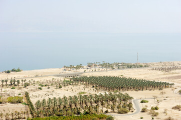 coast of the Dead Sea