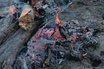 Fire in an open area from branches and logs of trees, wood coals
