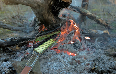 Obraz premium Grilled vegetables zucchini and eggplant are fried on an open fire in the wild right on the ground leaning on the branches of burning trees with the sunset in the background.