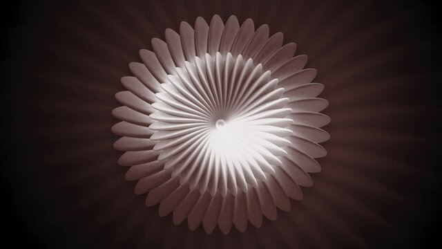 Floral centralized Pattern. Motion. Simple pattern of moving 3d flower. Floral pattern moves and changes. Hypnotic flower animation