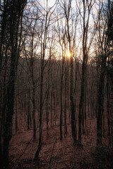 Obraz premium Giechburg und Gügel in Oberfranken, Hügellandschaft in Bayern in Deutschland im Winter