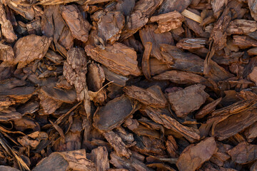 Crushed tree bark texture background closeup. Shredded brown tree bark for decoration and mulching or for playground