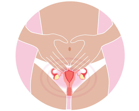 Female period pain and utero view