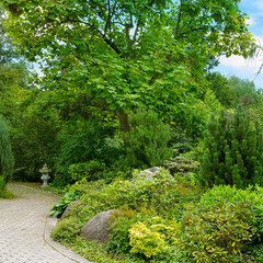 Obraz premium City park with cypresses, thujas, magnolias and walking alleys.