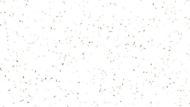 Blank gold confetti falling animated mockup, 4k video