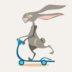 rabbit on a blue scooter
