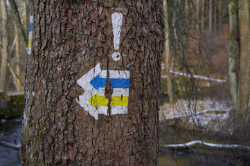 Signs showing the direction of the mountain trail painted on a tree. - obrazy, fototapety, plakaty