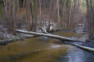 Forests and a waterfall in the Roztocze National Park. Huta Szumy.