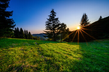 Sunset in a mountain landscape. Meadow with green grass and trees in the background. Sun with orange sunbeams and clear blue sky.