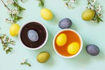 Natural dye for easter eggs - carcade and turmeric. Homemade colored easter eggs on a light green background. Top view flat lay.