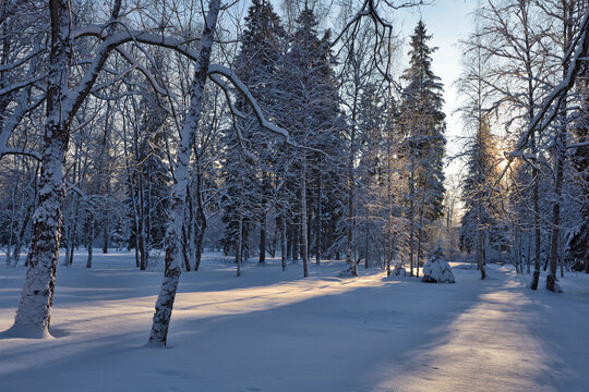 Beautiful winter landscape.