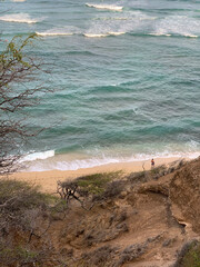 Male Surfer Waiting at Diamond Head Beach, O'ahu, HI, US, - obrazy, fototapety, plakaty