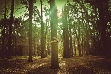Momentos Paisajes y Paz