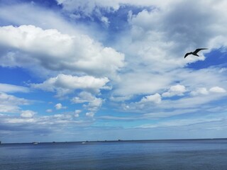 Fototapeta na wymiar Baltic Sea coast. Gdynia. Beautiful seaside landscape. Summer holidays. 