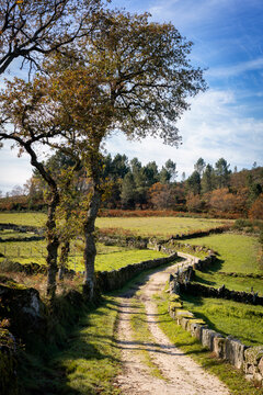 Walking path on an autumn fall landscape in Mondim de Basto, Portugal