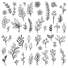 Floral doodle ornaments, hand drawn illustrations of branches and leaves. Nature decorative drawings.