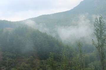 Berge, Nebel