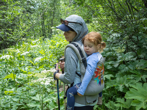 Family hiking trip in the Eagles Nest Wilderness, Colorado