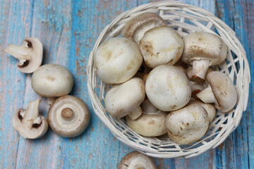 Mushrooms in a white basket. Top view on rustic blue wooden background
