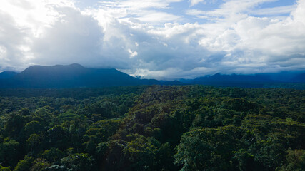 Discover the jungle from all the points of view