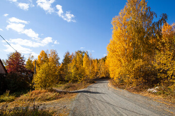 Bright, colorful, autumn forest and the road to Vysokaya mountain. Nizhny Tagil. Sverdlovsk region. Russia