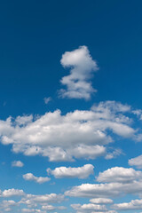 Obraz premium bright blue sky with group of white cumulus clouds as a natural background
