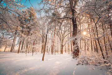 Snowy winter landscape panorama with dreamy sunlight. Idyllic winter nature, adventure and freedom scenic. Amazing seasonal landscape, forest path and snow. Majestic winter landscape, wonderland