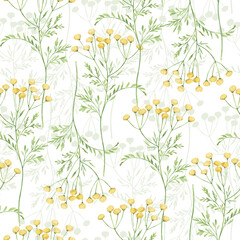 Watercolor botanical seamless pattern Delicate meadow wildflowers. Hand drawn tansy Floral print. For birthday card, invitation, happy easter, mother day, linen, wrapping paper, wallpaper, textile.