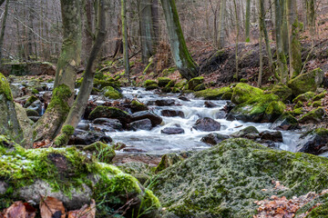 The river Ilse in the Ilsetal with stones and rocks, Ilsenburg, Saxony-Anhalt, Germany