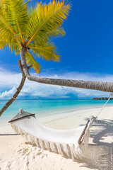 Tropical beach background as summer relax landscape with beach swing or hammock and white sand and...