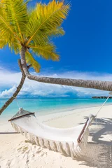 Foto op Plexiglas Tropical beach background as summer relax landscape with beach swing or hammock and white sand and calm sea for beach template. Amazing beach scene vacation and summer holiday concept. Luxury travel © icemanphotos