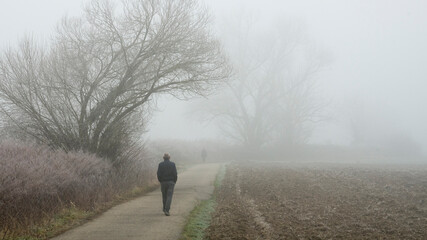 Spaziergang im Nebel - obrazy, fototapety, plakaty