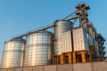 Obraz premium silver silos on agro manufacturing plant for processing drying cleaning and storage of agricultural products, flour, cereals and grain. Large iron barrels of grain. Granary elevator