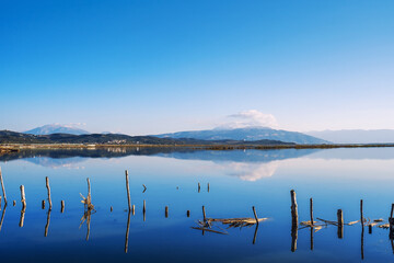 Wooden posts reflected in the lagoon of Narta, Vlore, Albania © netdrimeny