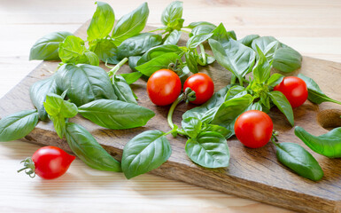 Fresh harvest of tomato and fragrant basil from garden to kitchen