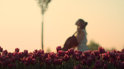 Inspired musician female playing contrabass in flower garden in morning light. © stockbusters