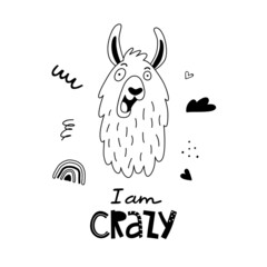 Funny llama or alpaca face poster with cute lettering in hand drawn style. Outline hand drawing. Perfect for t-shirt, apparel, cards, poster, nursery. Isolated on white background vector illustration