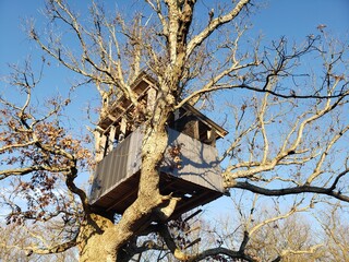 View of a Treehouse