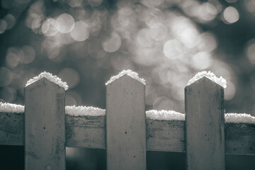 Frost covered garden fence in winter