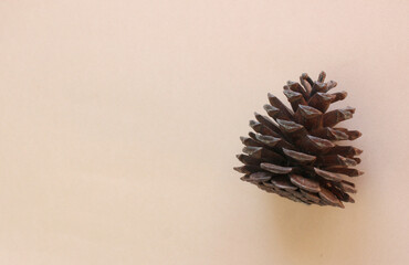 Naklejka na ściany i meble pine cone. Christmas decor. Space for text