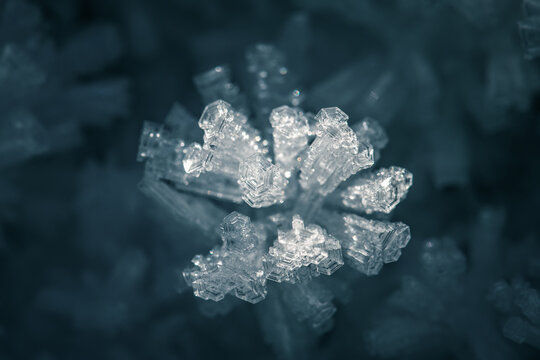 macro photo of ice crystals under natural light