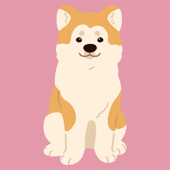 Simple and adorable flat colored Akita Dog sitting in front view
