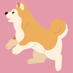 Simple and adorable flat colored Akita Dog jumping and playing