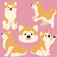 Fototapeta premium Simple and adorable flat colored Akita Dog illustrations