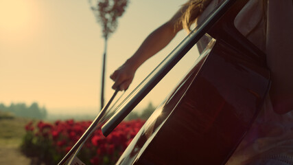 Close up musical bow moving on strings in unknown woman hands in flower garden. © stockbusters