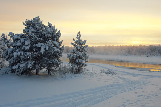 Cold Mist Over Kalix River